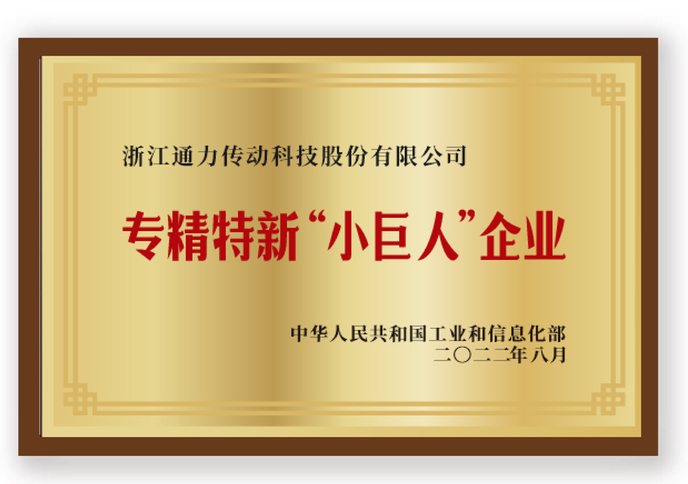 Specialized and innovative 'little giant' enterprise